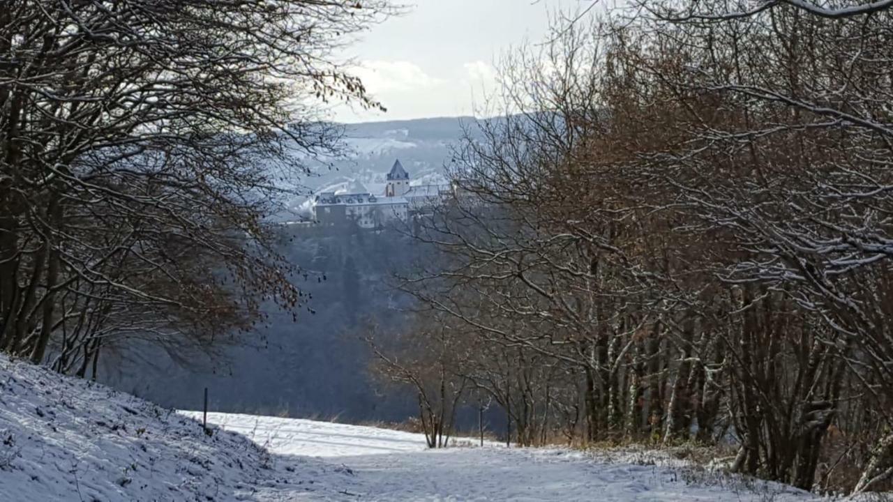 Zur Koenigslay Villa Bullay Bagian luar foto